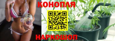 spice Камышлов