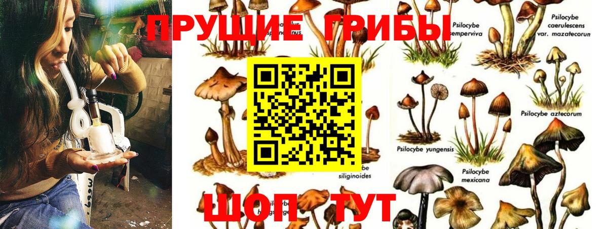 Псилоцибиновые грибы GOLDEN TEACHER  Вход с VPN  Жуковский 