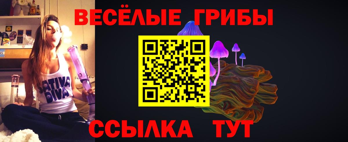Галлюциногенные грибы Cubensis Жуковский